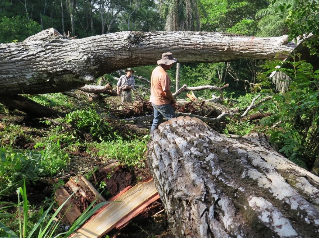 Se está construyendo en Costa Rica un barco eléctrico y sostenible