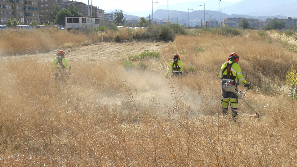 El Ayuntamiento de Granada desbroza 190 solares municipales durante la campaña de verano para prevenir incendios