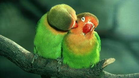 Master en Gestión y Conservación de la Naturaleza