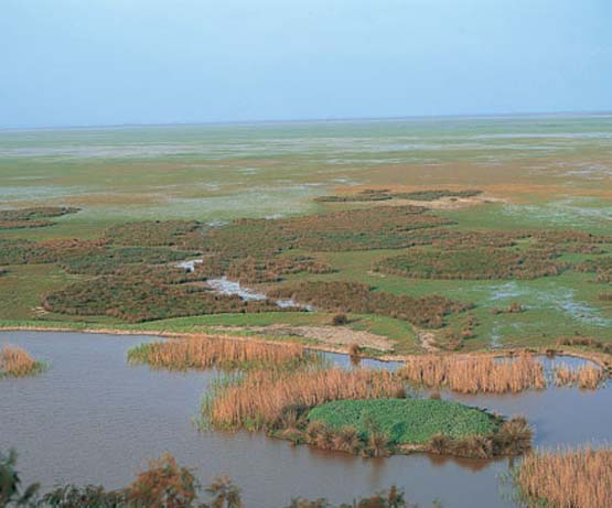 Ecologistas rechazan el almacenamiento de gas natural en el subsuelo de Doñana