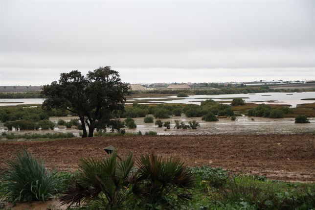 Estudian cómo restaurar la laguna de Los Tollos para potenciar su biodiversidad