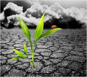 Especialista en investigación y recuperación de aguas subterráneas