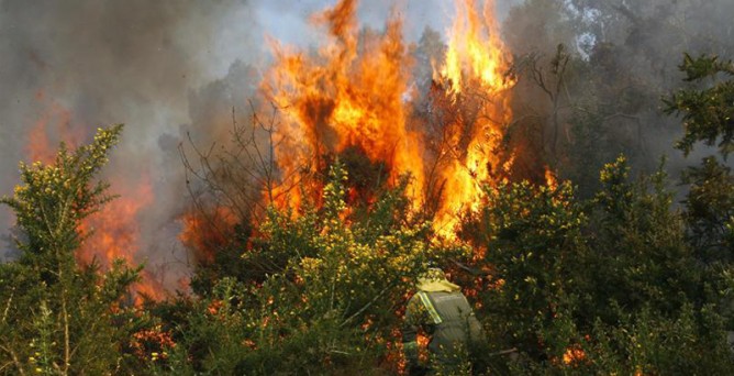 Plan para recuperar la zona de las Fragas incendiadas