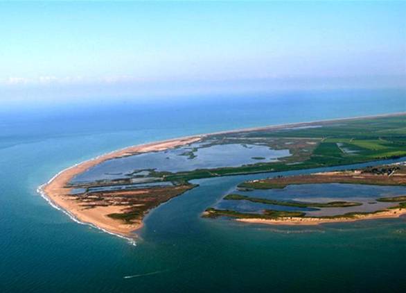 SEO/BirdLife organiza este fin de semana en el Delta del Ebro un taller de información y debate sobre la Red Natura 2000