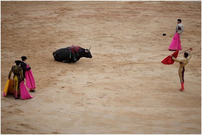 ERC reta al PSOE a ampliar su rechazo al maltrato animal prohibiendo las corridas de toros y retirando las subvenciones