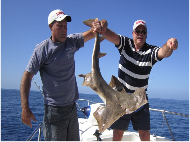 Atiracan exige que el Servicio de Biodiversidad del Gobierno de Canarias haga su trabajo