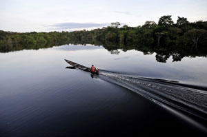 REDD+ puede aprender lecciones valiosas del manejo comunitario de bosques en América Latina
