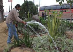 Rescatan particulares áreas verdes