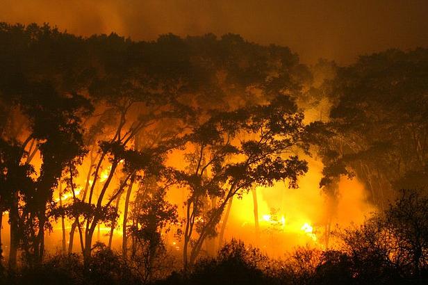 Alertan sobre efectos de incendios forestales en Bolivia
