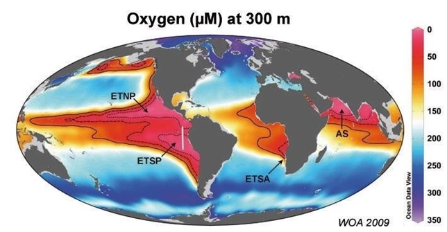 Se descubre un enorme estanque de metano en el Océano Pacífico