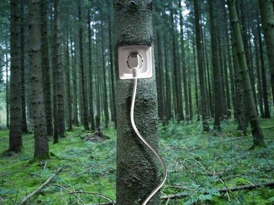 Conoce los secretos que esconde la biomasa con este curso