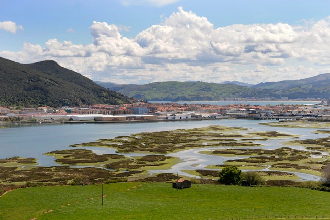 Los ecologistas piden que no se derogue el plan de ordenación de recursos naturales de las marismas de Santoña