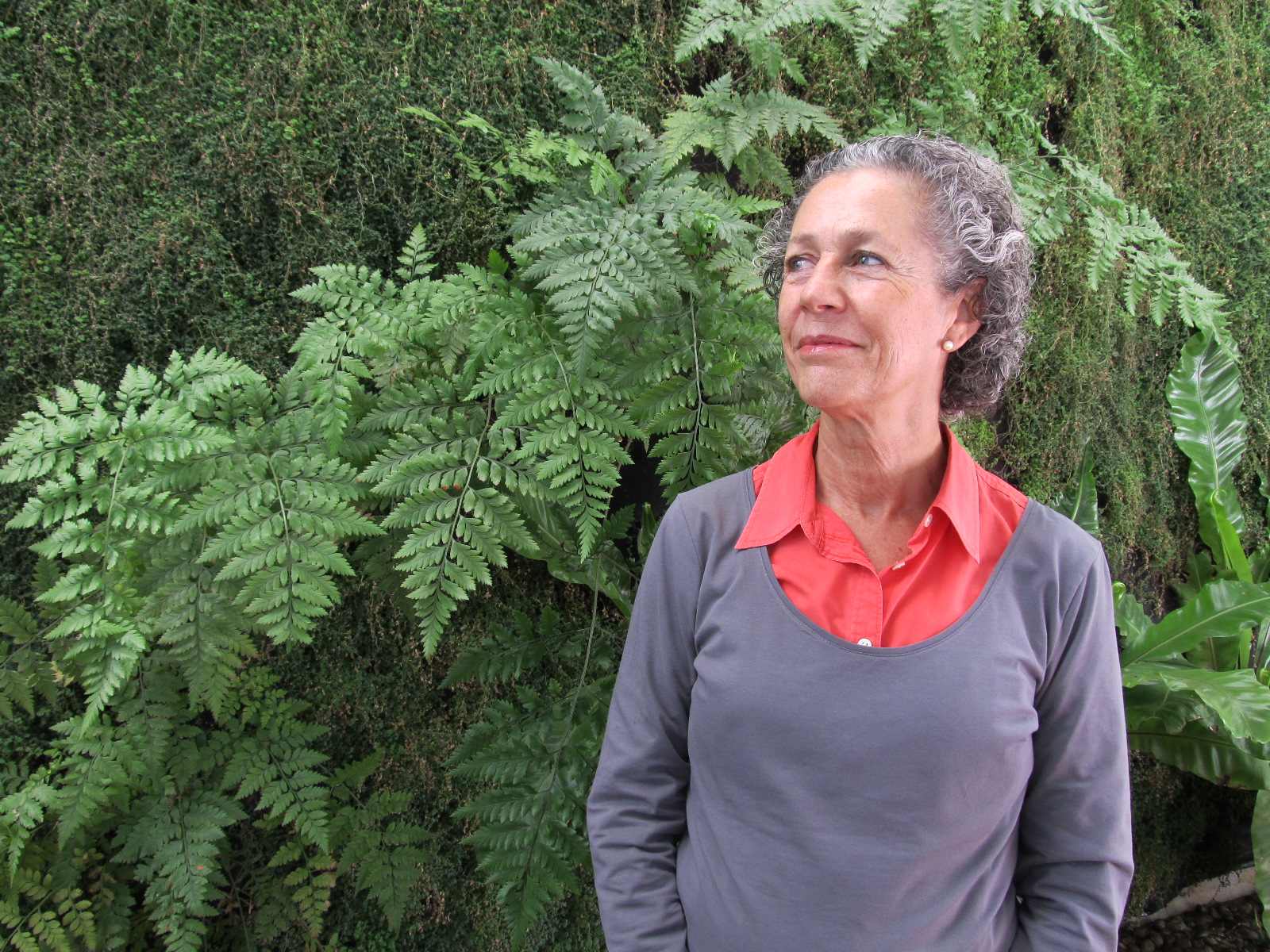 Chile. Cultura de diálogo: será demasiado pedir