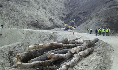 Arrancan los trabajos de restauración forestal del área afectada por el incendio de Quesada (Jaén)