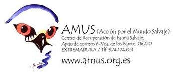 Ciclo de seminarios sobre medicina y biología en AMUS