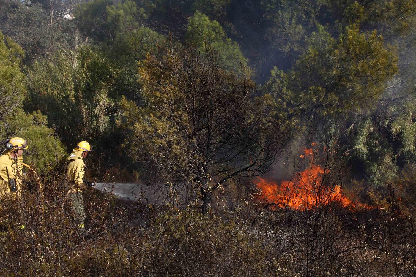 Extinguido el incendio forestal de Paterna del Río (Almería)