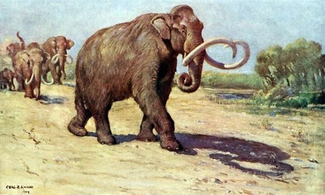 Proponen etiquetar a las especies resucitadas