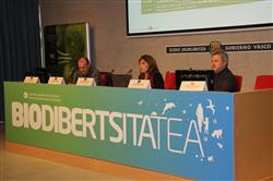 El Gobierno Vasco mejora ambientalmente 300 hectáreas de hábitats en los estuarios de Txingudi