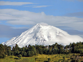 Reforestan Parque Nacional Pico de Orizaba para contrarrestar daños de tala forestal