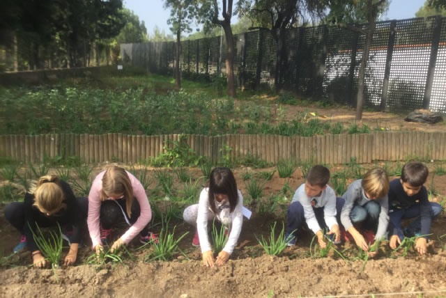 Premio huertos escolares ecológicos fuerte aumento de participación en si 4ª edición