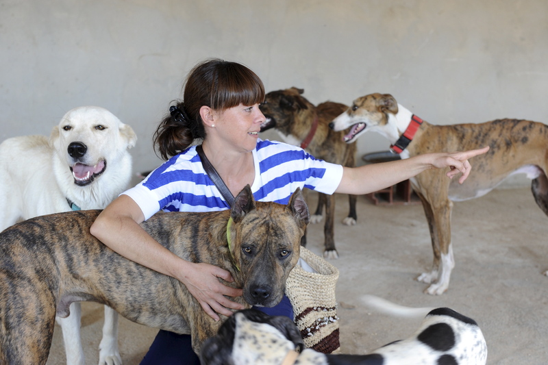 Jornada de puertas abiertas en el ‘Centro de Acogida de Animales de Teruel’