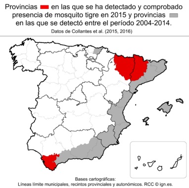 Al mosquito tigre le gusta nuestra costa mediterránea