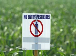 Shell and BASF to appeal ruling on pollution in Brazil