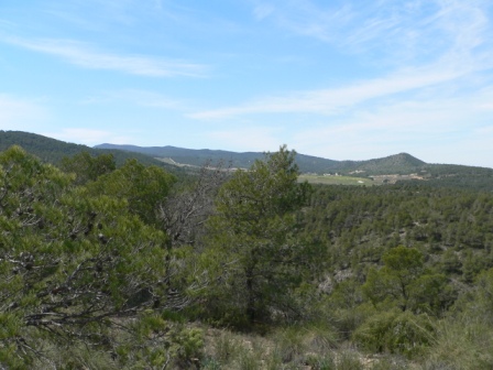 Martín destaca la necesidad de proteger para futuras generaciones los espaciones naturales