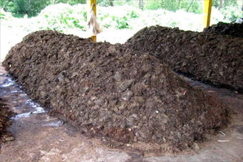 Una jornada aborda la gestión de estiércoles y residuos en explotaciones ganaderas