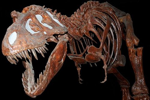 Los terroríficos dientes del T. Rex