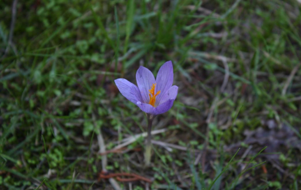 La actividad humana amenaza la biodiversidad