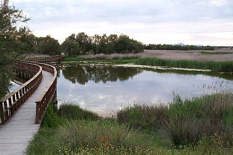 Se propone enviar 20 Hm3 a las Tablas de Daimiel