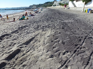 El ‘penoso’ estado de la playa de Fuentebravía