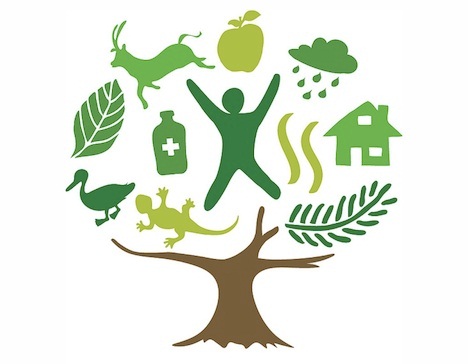 La Sociedad Española de Ciencias Forestales entrega los Premios Universitarios 2011