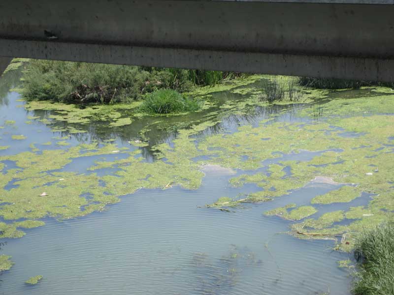Aragón. Un total de 11