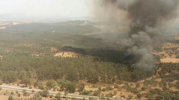 Controlado un incendio forestal declarado en Zalamea La Real (Huelva)