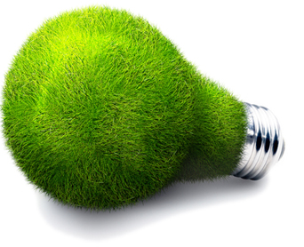 Energía procedente de la Biomasa