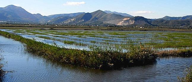 El ‘Catálogo de Zonas Húmedas’ de la Comunitat Valenciana se queda corto