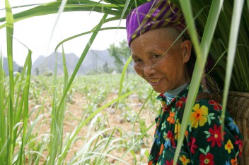 La “Ayudificación” de REDD+: Cómo ha cambiado y por qué importa