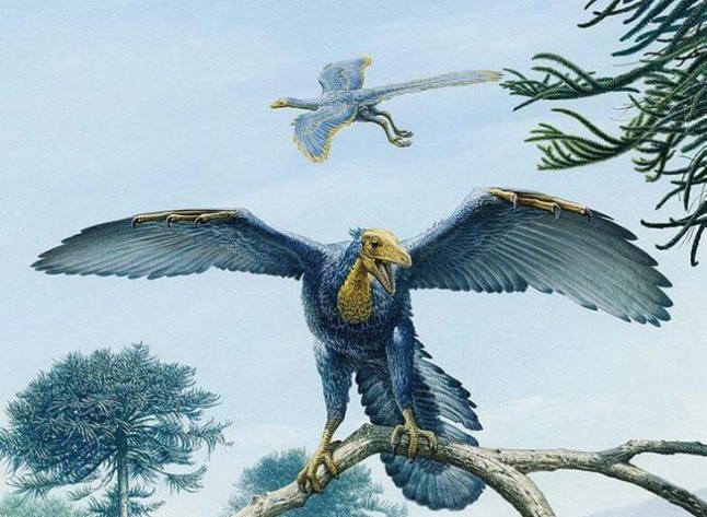 Aves prehistóricas que ya volaban como ahora