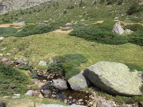 La participación de las ONG ambientales en Parques Nacionales contará con 75.000 euros