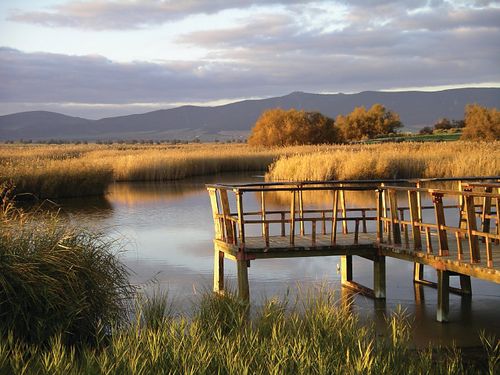 Ampliación del Parque de las Tablas de Daimiel