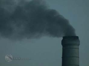 New support project to enhance African carbon trading