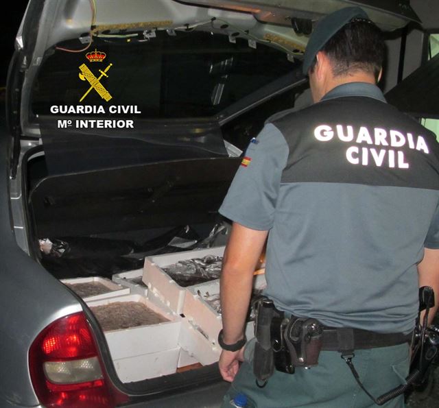 La Guardia Civil incauta pescado de talla no reglamentaria en Isla Cristina