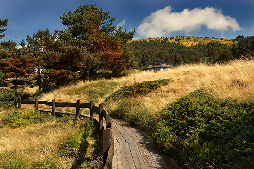 Los espacios protegidos de Madrid en ‘grave peligro’