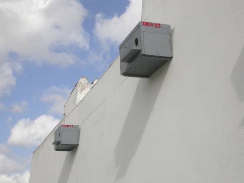 Cádiz. Implementan más de 400 nidales de cernícalo para conservar la especie