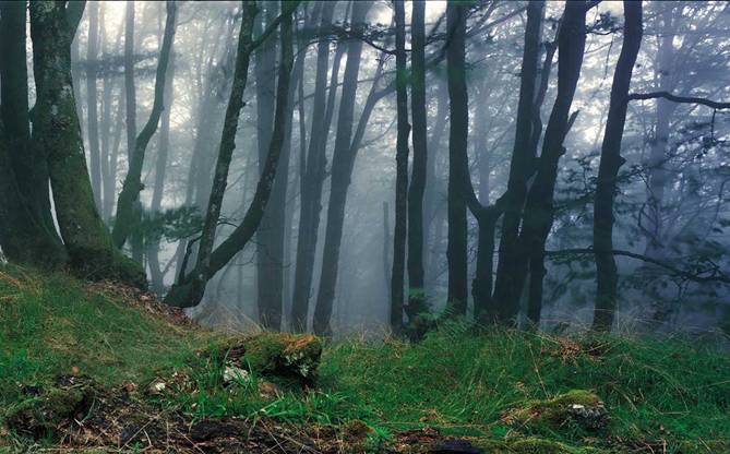 Conservación y mejora de espacios naturales de Navarra