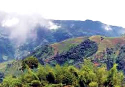 Se proyecta cooperación técnica con Instituto de Biodiversidad Tropical