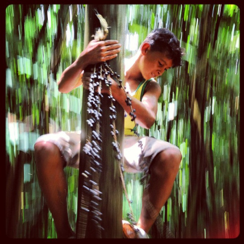 Informe especial: Un lejano estado amazónico lidera las políticas de cambio climático