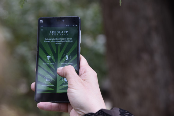 Nace Arbolapp Canarias